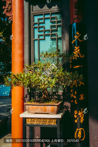 寺廟盆景