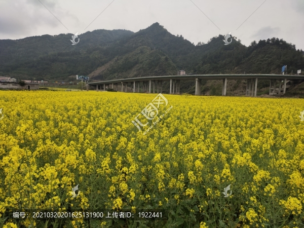 田園風(fēng)光