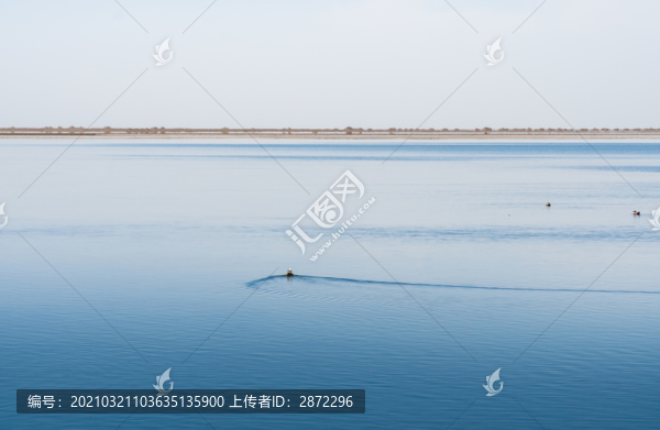 中國西部青海高原湖泊自然風光