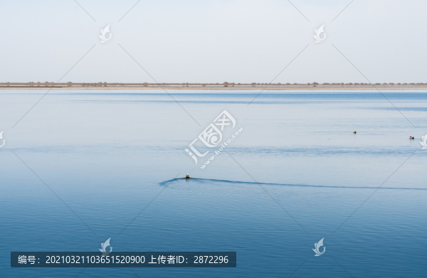 中國(guó)西部青海高原湖泊自然風(fēng)光