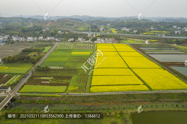 全心畈村春天風(fēng)光