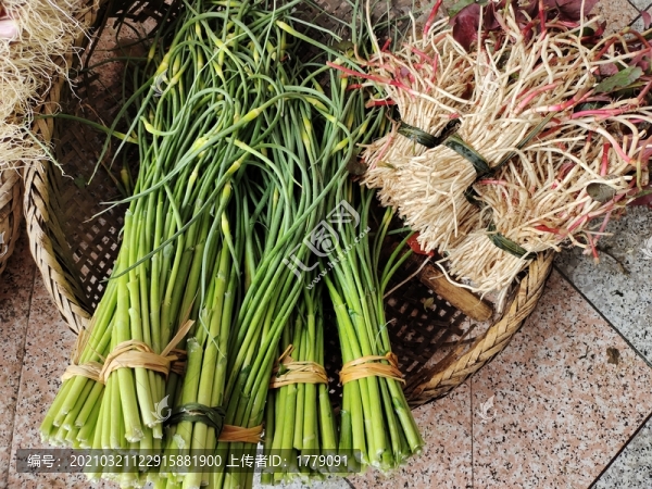 折耳根魚腥草蒜臺(tái)