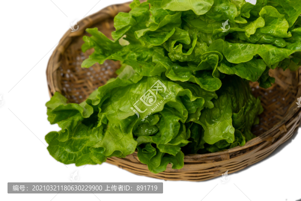 生菜