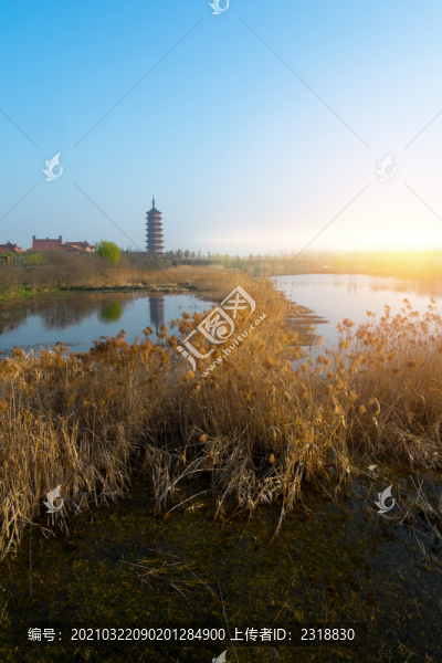 古運河風光