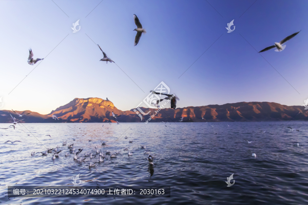 瀘沽湖的早晨