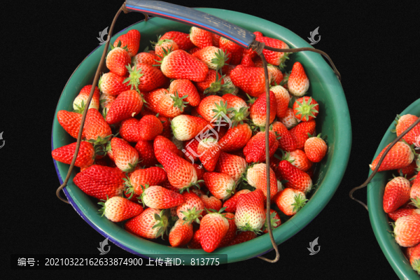 農(nóng)家草莓籃