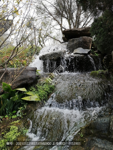 假山流水