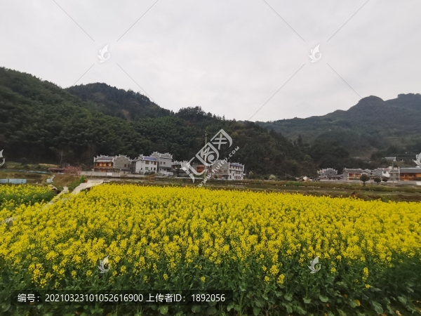 田園風(fēng)光