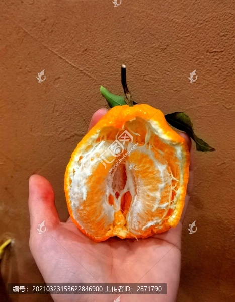手中橘