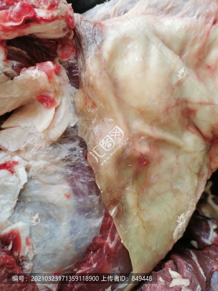 牛肉