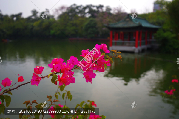 羊城八景之越秀公園