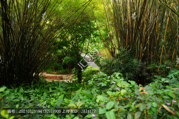 羊城八景之越秀公園