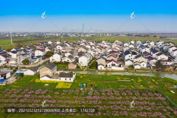 石路浜