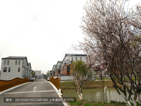 鄉(xiāng)村早春農(nóng)家