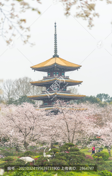 武漢櫻花五重塔