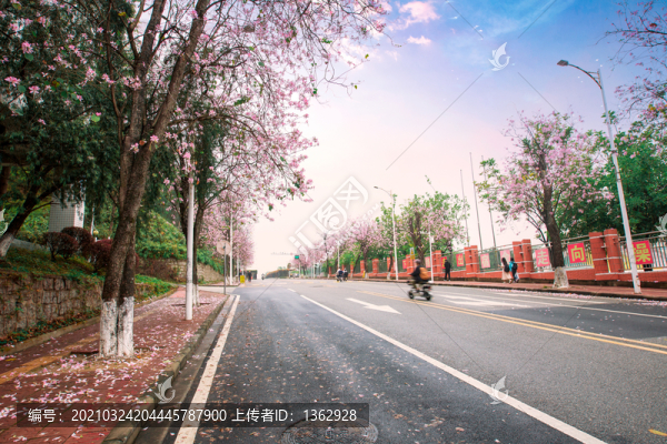 春色滿園