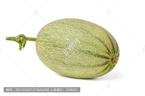香妃曉蜜