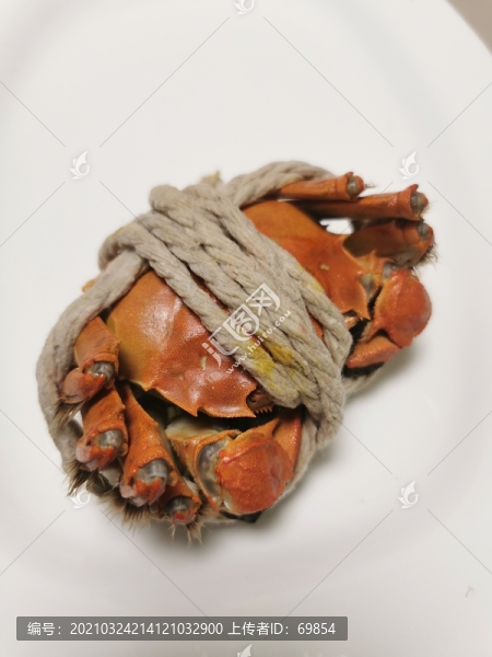 陽澄湖大閘蟹