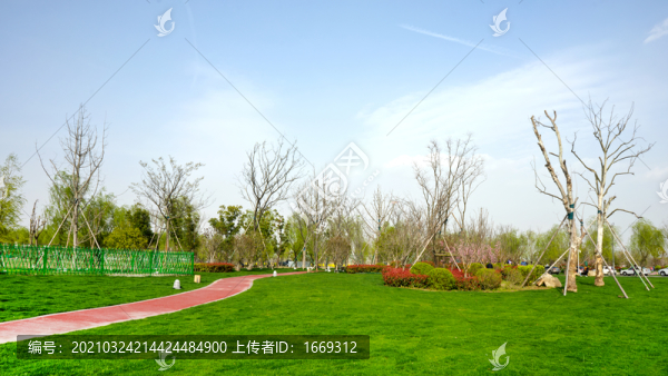 公園