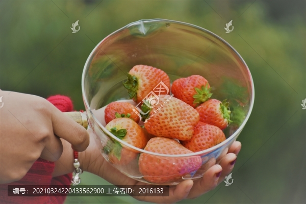 草莓