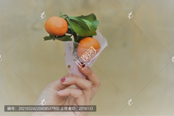 橘子