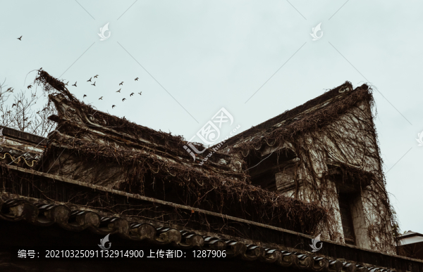 飛躍歷史