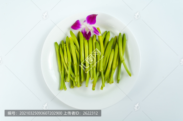 新鮮黃花菜