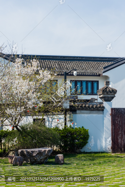 楓涇古鎮(zhèn)