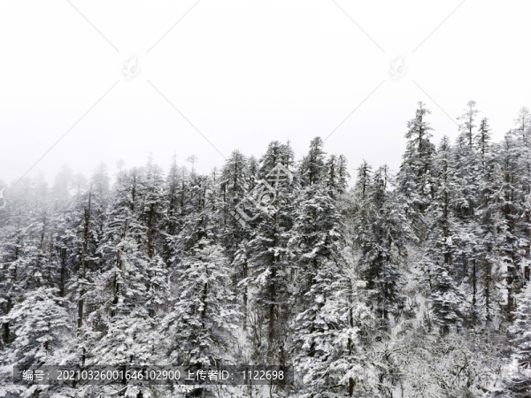 林海雪原