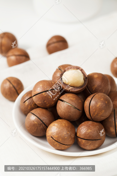 夏威夷果高清圖