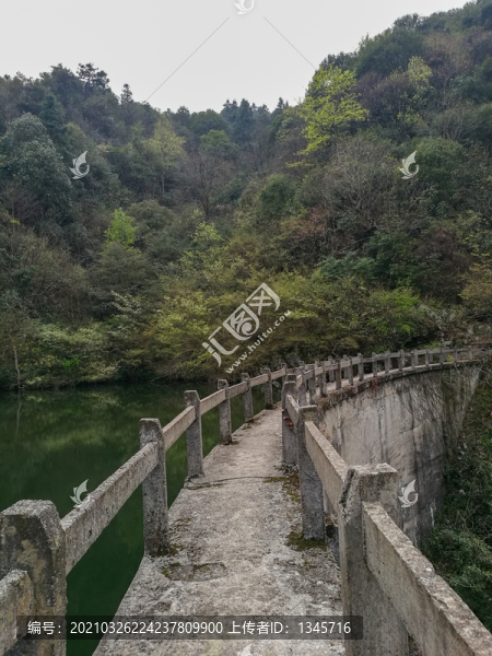 大壩山峰森林