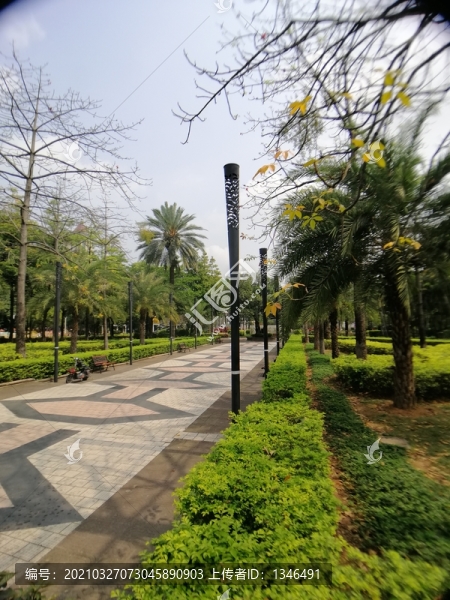 公園路燈景觀照明設計