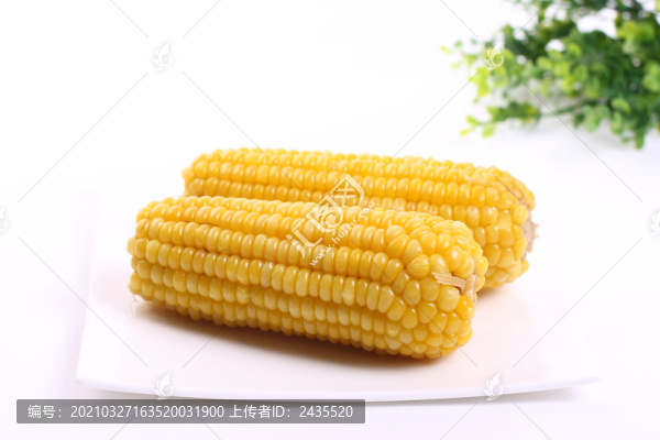 玉米