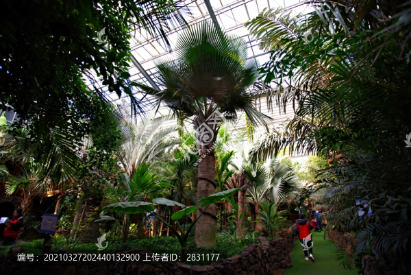 北京呀路古熱帶植物園