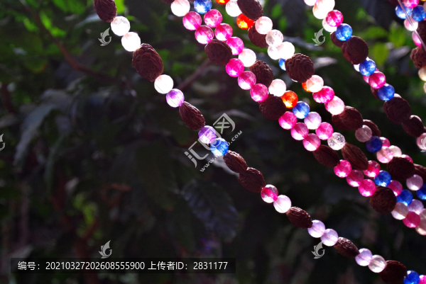 北京呀路古熱帶植物園