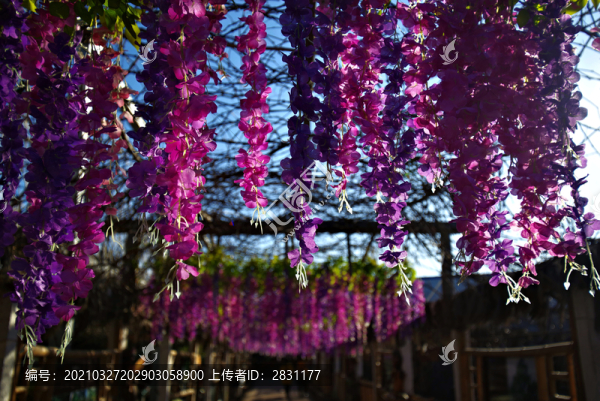 北京呀路古熱帶植物園
