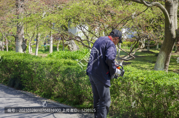 園藝修剪師傅