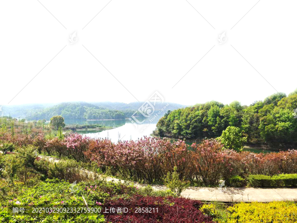 自然風景