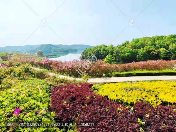 花田
