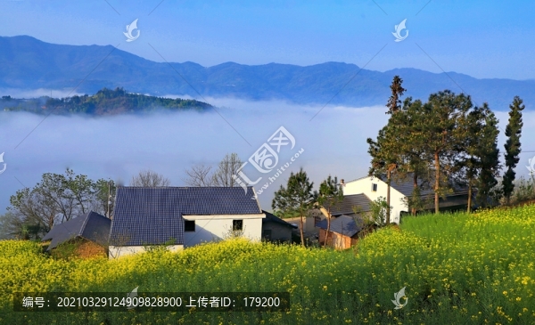 縣河晨霧