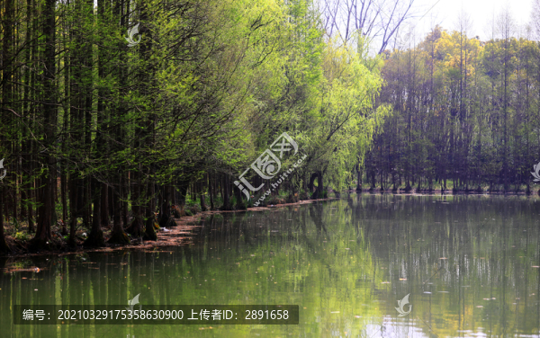 公園