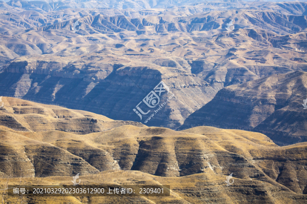 黃土高原地貌