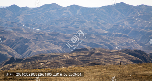 黃土高原地貌