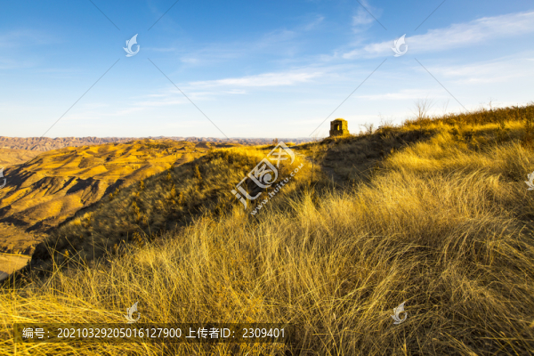 黃河岸
