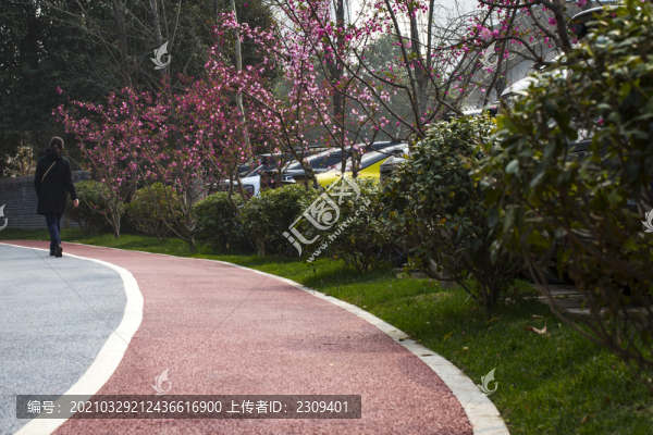 春花