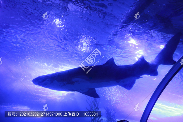 海底世界