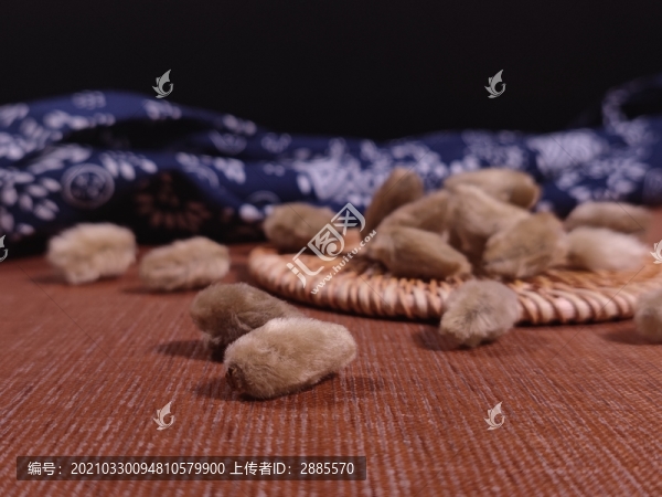 辛夷中藥