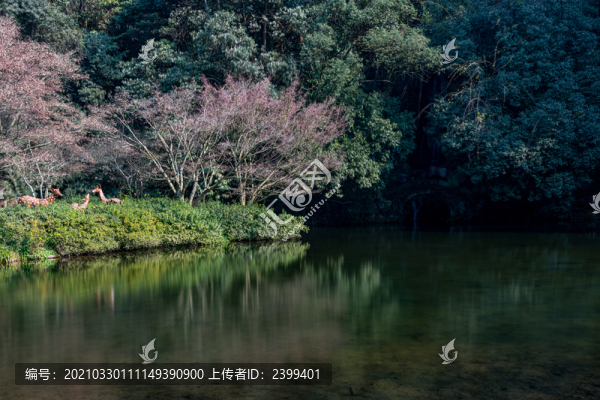 浙江杭州九溪煙樹風(fēng)景區(qū)