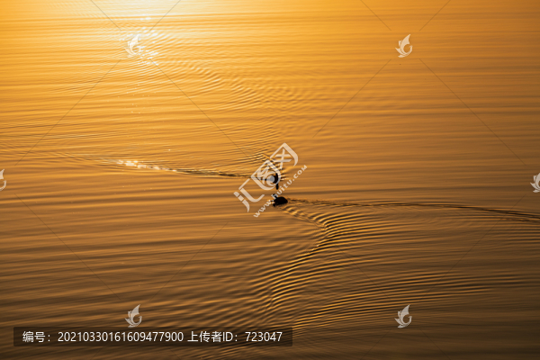 西湖晚霞