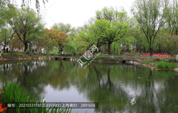 親水綠地